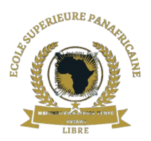 ECOLE SUPERIEURE PANAFRICAINE LIBRE